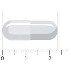 Vitals Acetyl-l-carnitine 500 Mg 7 Vitals Acetyl-l-carnitine 500 Mg -Verzorgingsproducten 1023935 4