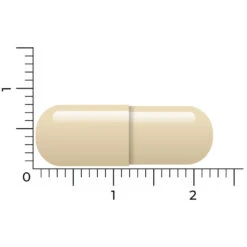 Vitakruid Geheugenformule -Verzorgingsproducten 1023998 4