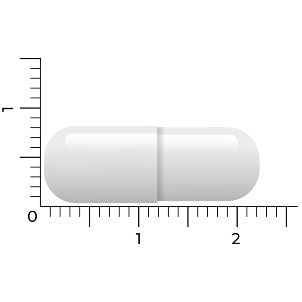 Vitakruid Acetyl L-Carnitine 5 Vitakruid Acetyl L-Carnitine - Afbeelding 5