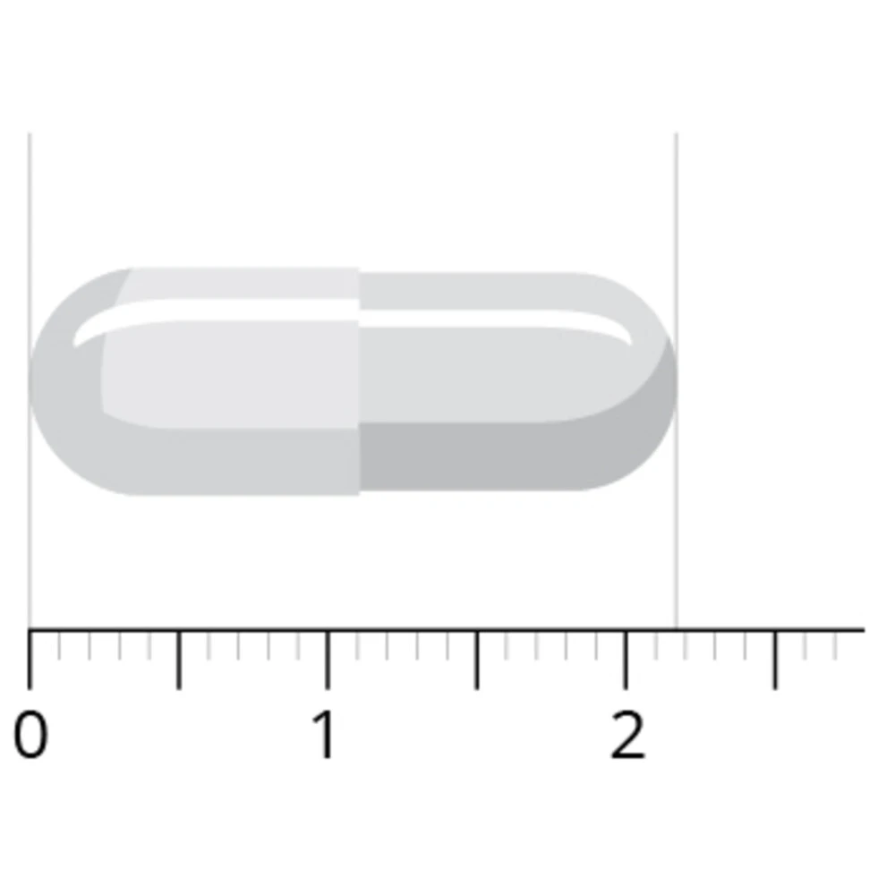 Vitals L-Theanine SP 4 Vitals L-Theanine SP - Afbeelding 4