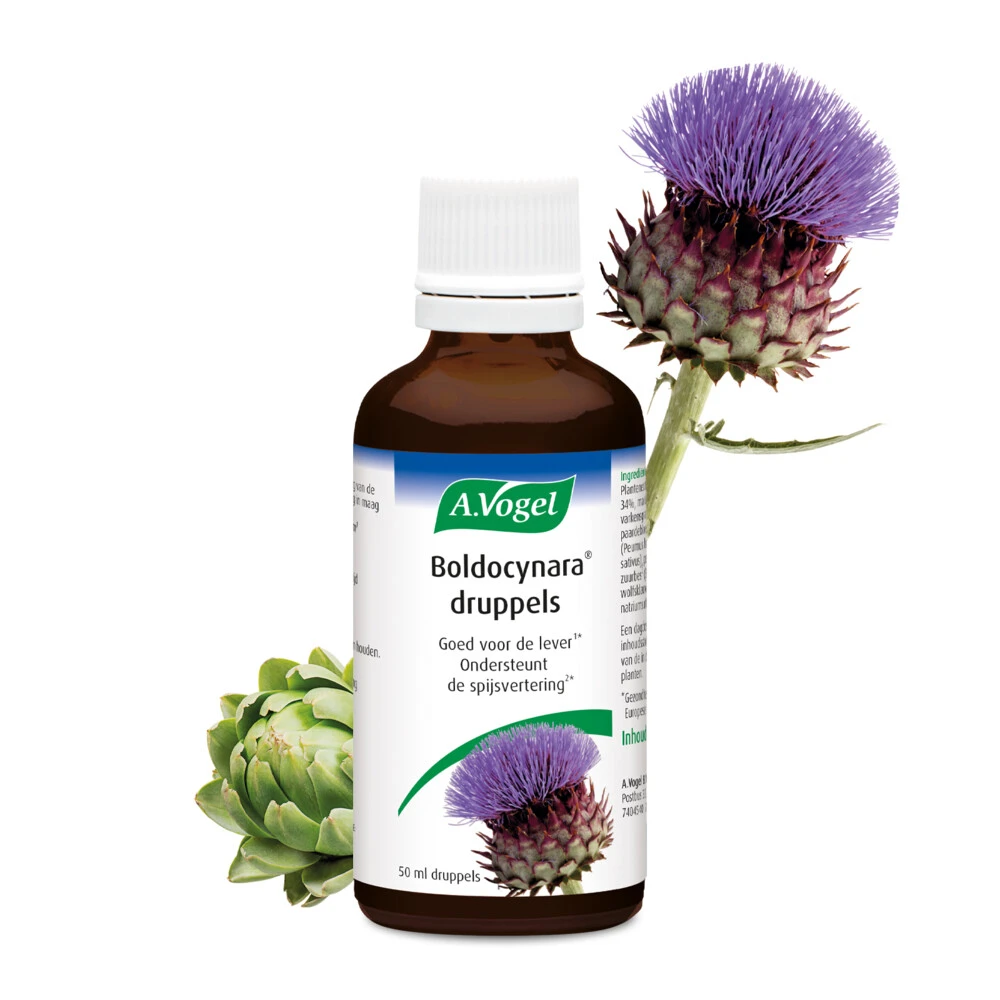 2x A.Vogel Boldocynara Druppels 2 2x A.Vogel Boldocynara Druppels - Afbeelding 2