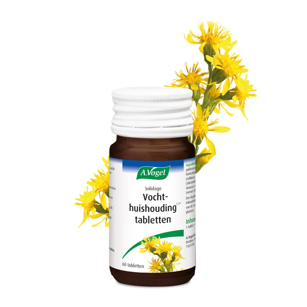 A.Vogel Solidago Vochthuishouding 2 A.Vogel Solidago Vochthuishouding - Afbeelding 2